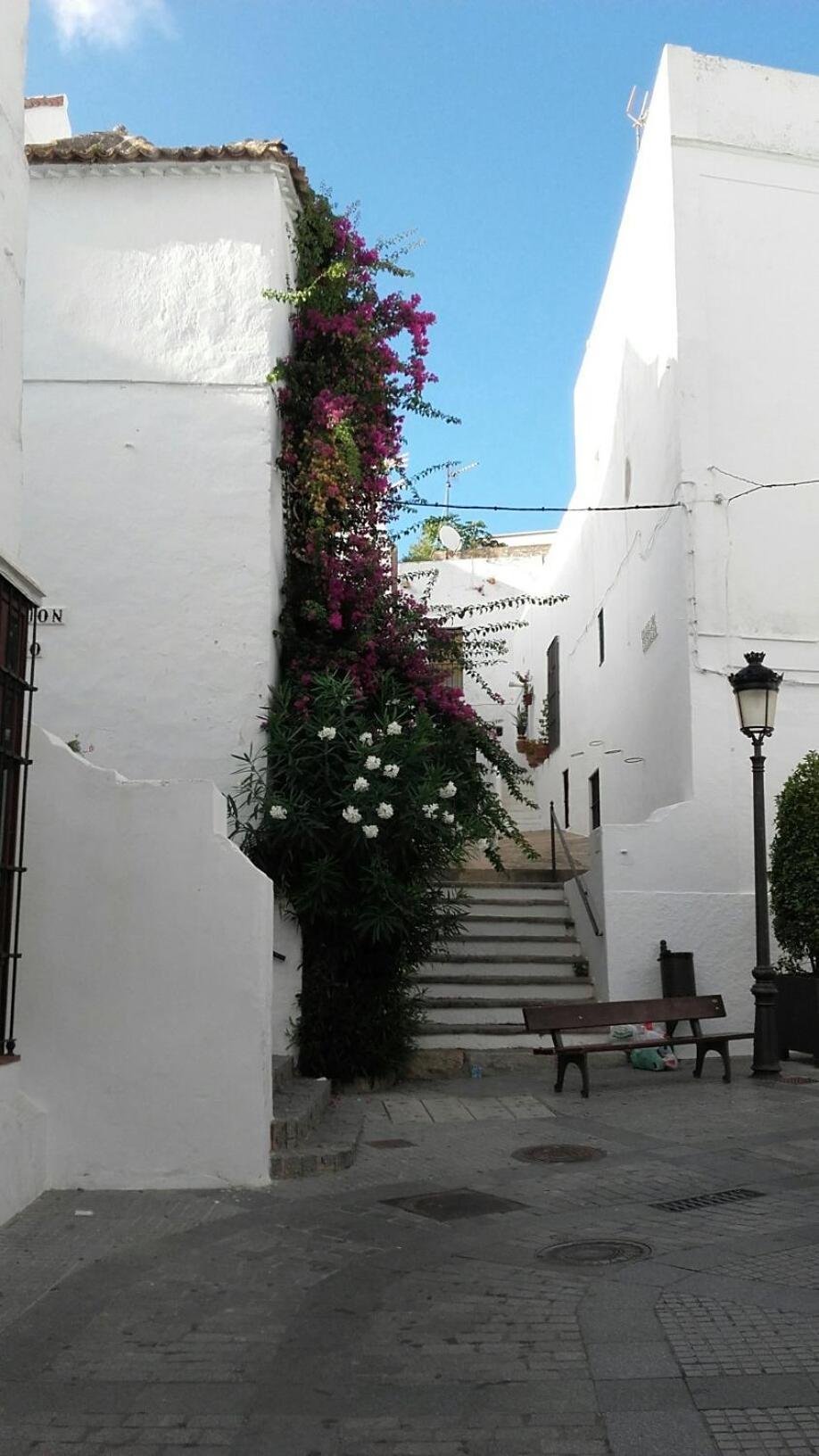 Casa Calle Alta Maria Bajo Vejer de la Frontera Eksteriør billede